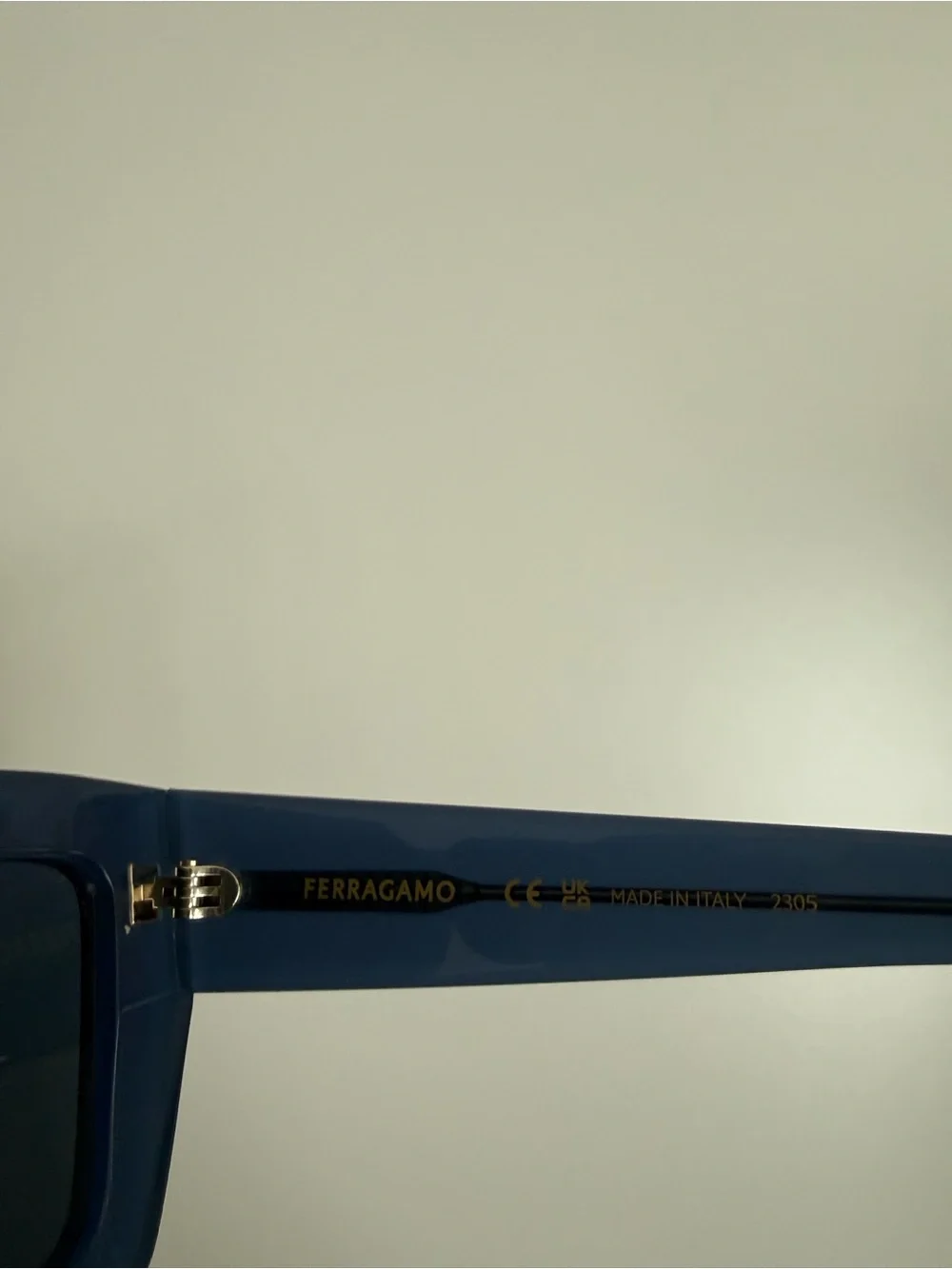 Salvatore Ferragamo SF1108S Blue Gender Neutral Full Inclusion NWT Sunglasses